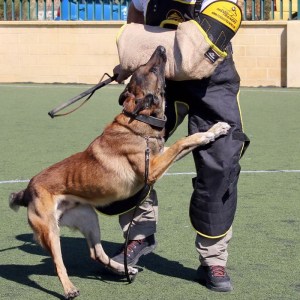 Профессиональный рукав «Under training» из толстого джута для малинуа